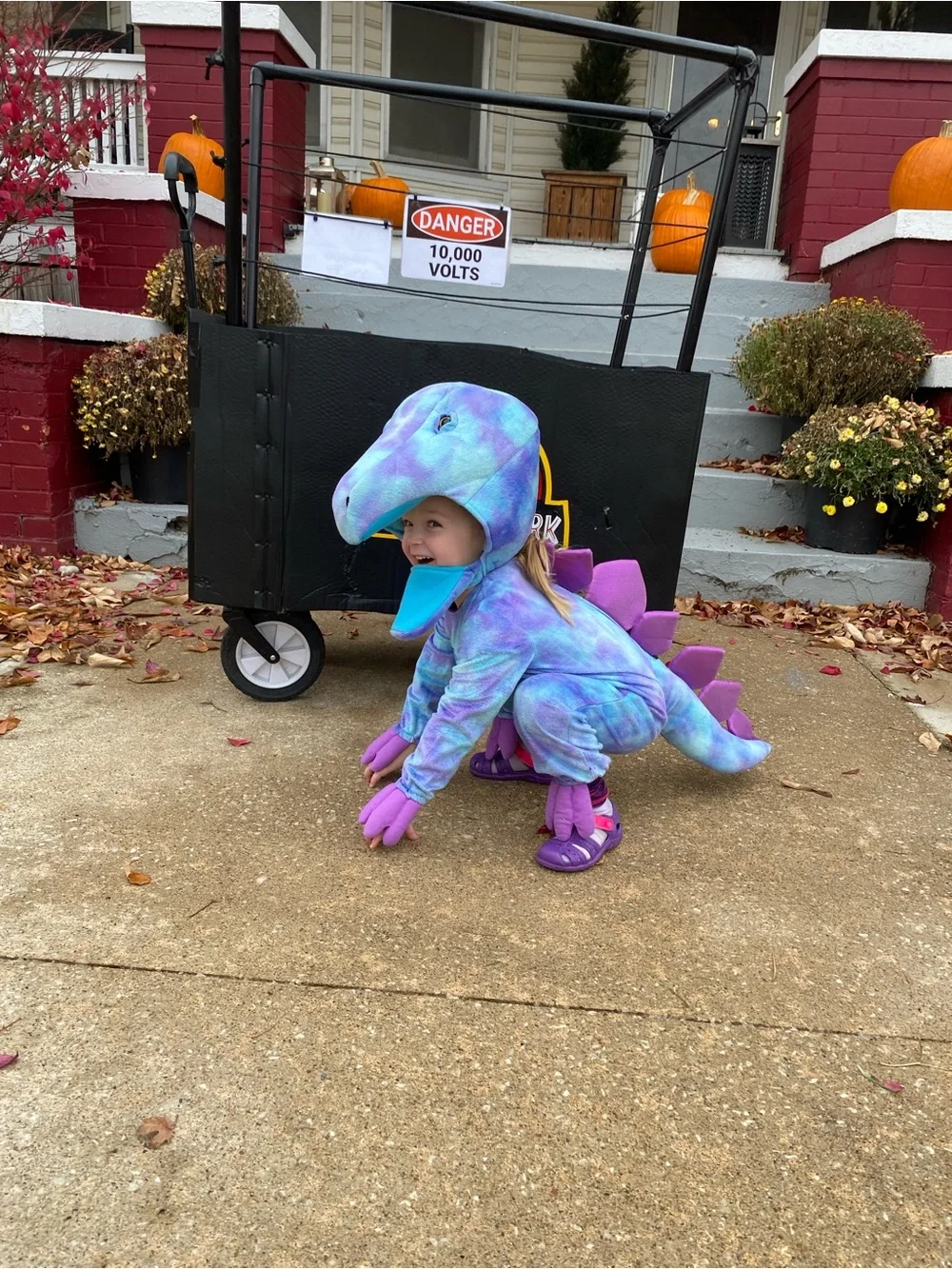 Pottery Barn Kids Purple and Blue Plush Dinosaur Costume with headpiece - Picture 2 of 4